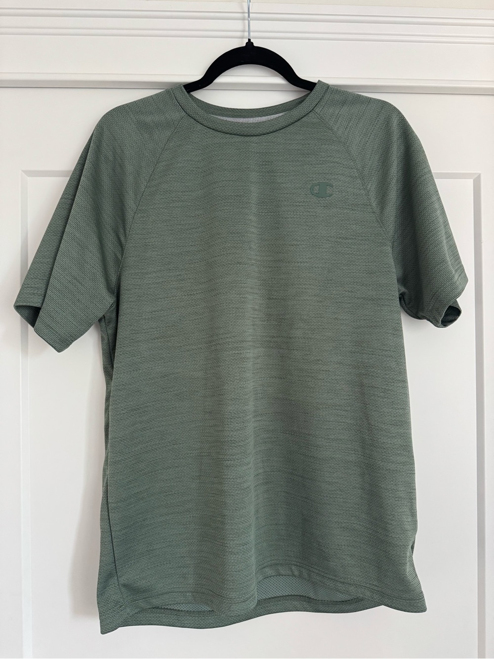 Champion Short Sleeve Performance Tee in Sage Green